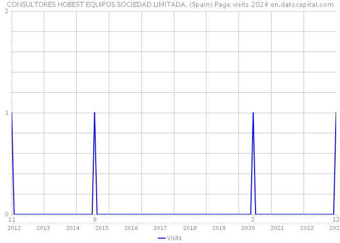 CONSULTORES HOBEST EQUIPOS SOCIEDAD LIMITADA. (Spain) Page visits 2024 