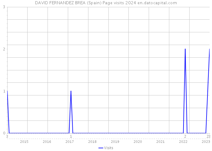 DAVID FERNANDEZ BREA (Spain) Page visits 2024 
