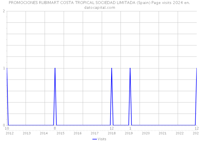 PROMOCIONES RUBIMART COSTA TROPICAL SOCIEDAD LIMITADA (Spain) Page visits 2024 