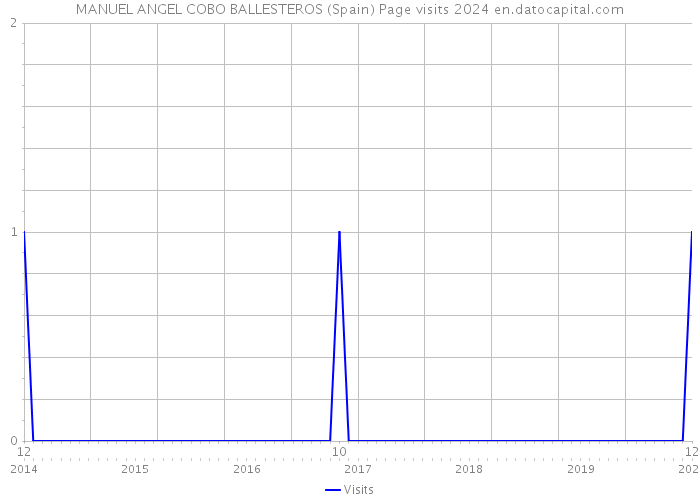 MANUEL ANGEL COBO BALLESTEROS (Spain) Page visits 2024 