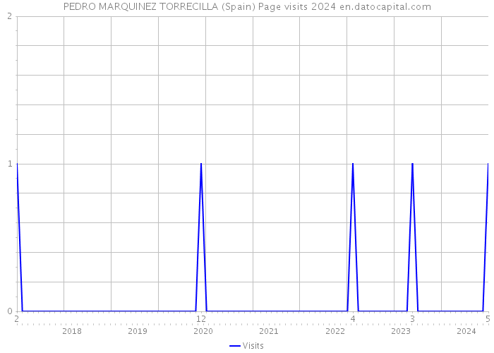 PEDRO MARQUINEZ TORRECILLA (Spain) Page visits 2024 