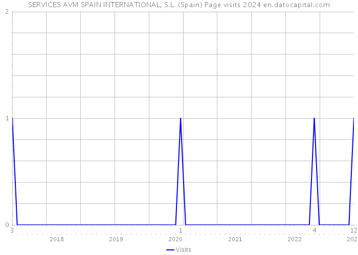 SERVICES AVM SPAIN INTERNATIONAL, S.L. (Spain) Page visits 2024 