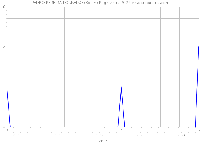 PEDRO PEREIRA LOUREIRO (Spain) Page visits 2024 