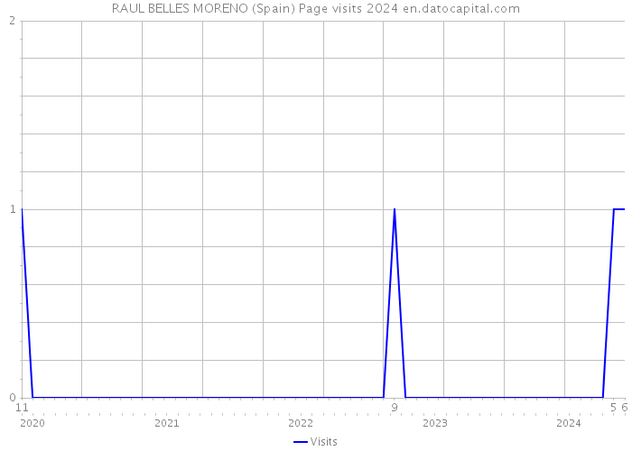 RAUL BELLES MORENO (Spain) Page visits 2024 