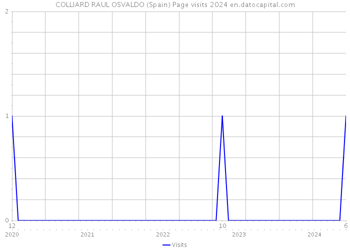 COLLIARD RAUL OSVALDO (Spain) Page visits 2024 