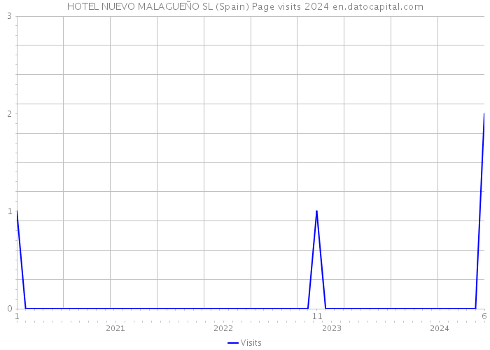 HOTEL NUEVO MALAGUEÑO SL (Spain) Page visits 2024 