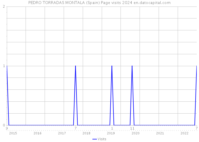 PEDRO TORRADAS MONTALA (Spain) Page visits 2024 