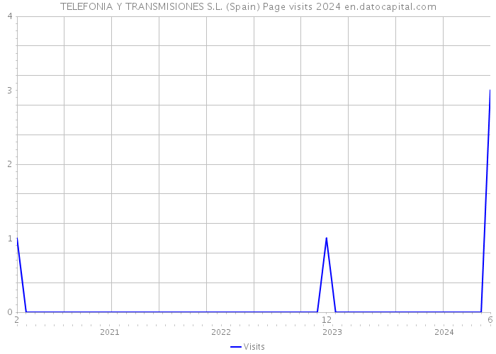 TELEFONIA Y TRANSMISIONES S.L. (Spain) Page visits 2024 