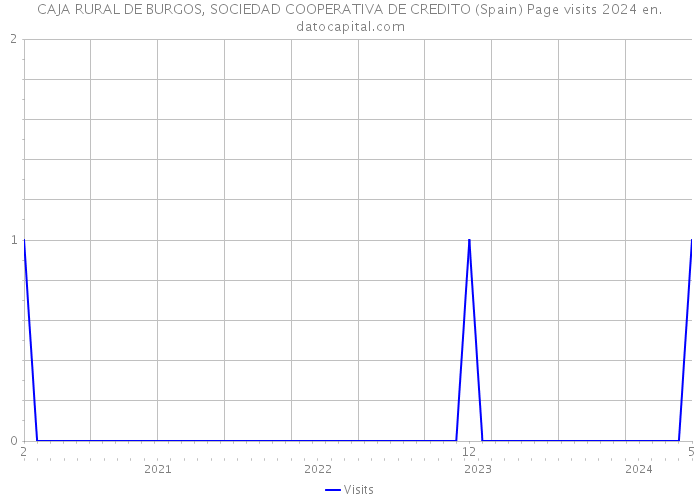 CAJA RURAL DE BURGOS, SOCIEDAD COOPERATIVA DE CREDITO (Spain) Page visits 2024 