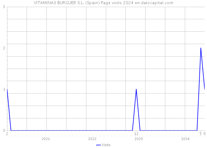 VITAMINAS BURGUER S.L. (Spain) Page visits 2024 
