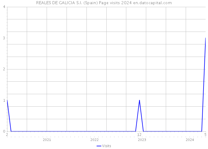 REALES DE GALICIA S.I. (Spain) Page visits 2024 