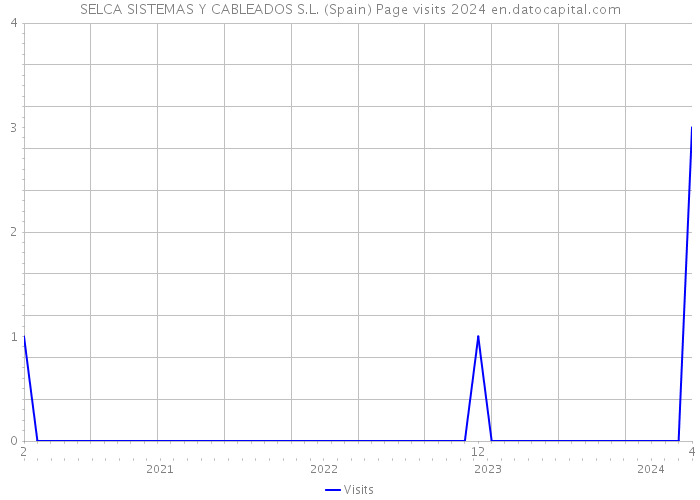 SELCA SISTEMAS Y CABLEADOS S.L. (Spain) Page visits 2024 