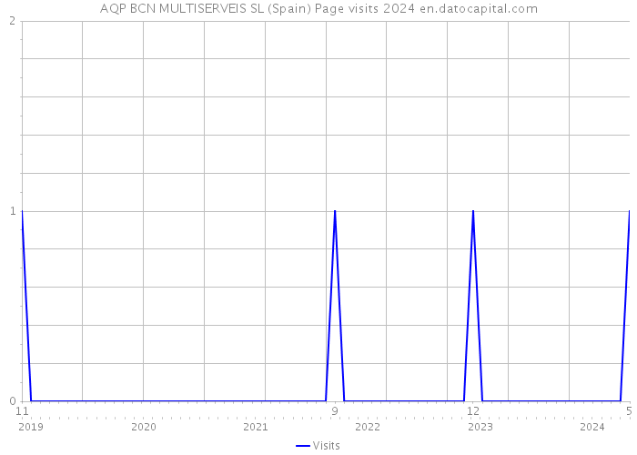 AQP BCN MULTISERVEIS SL (Spain) Page visits 2024 