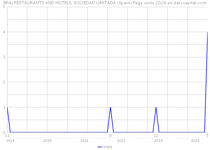 BRAJ RESTAURANTS AND HOTELS, SOCIEDAD LIMITADA (Spain) Page visits 2024 