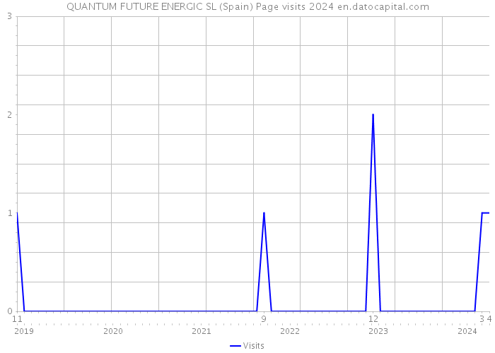 QUANTUM FUTURE ENERGIC SL (Spain) Page visits 2024 