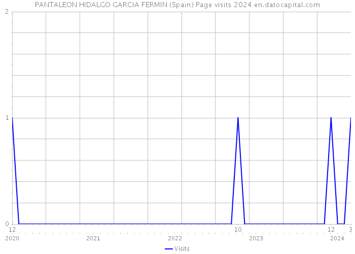 PANTALEON HIDALGO GARCIA FERMIN (Spain) Page visits 2024 