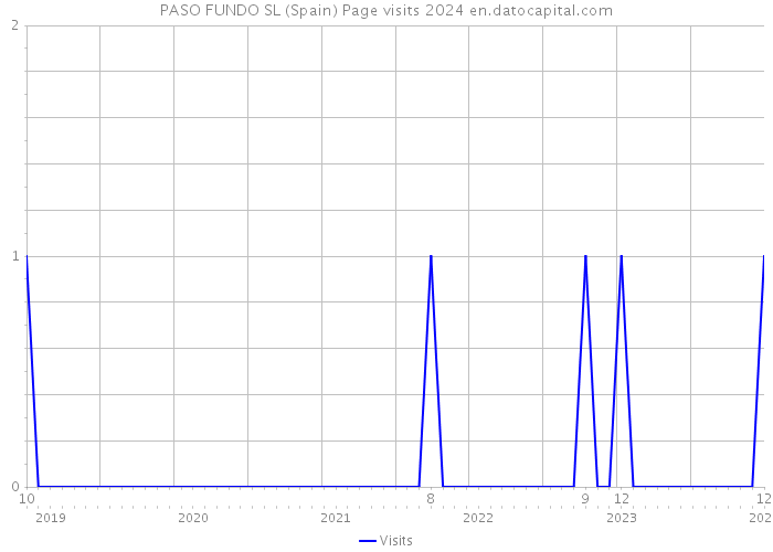 PASO FUNDO SL (Spain) Page visits 2024 