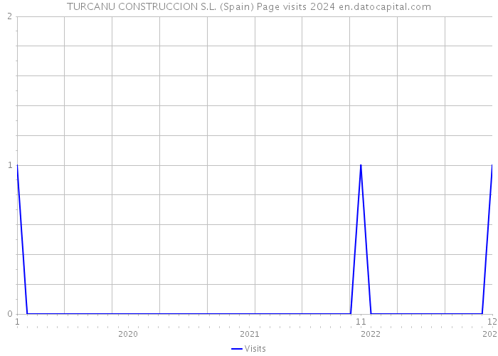 TURCANU CONSTRUCCION S.L. (Spain) Page visits 2024 