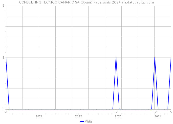 CONSULTING TECNICO CANARIO SA (Spain) Page visits 2024 