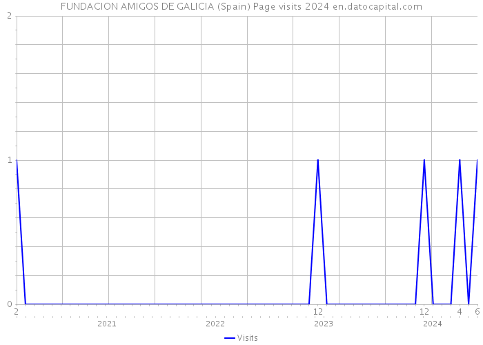 FUNDACION AMIGOS DE GALICIA (Spain) Page visits 2024 