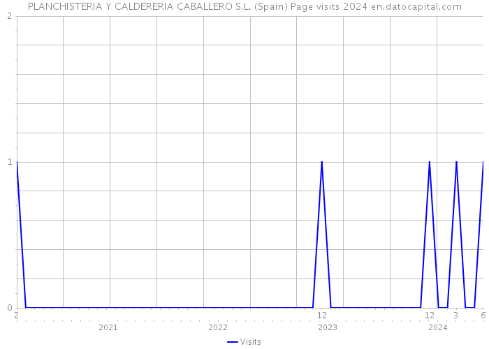 PLANCHISTERIA Y CALDERERIA CABALLERO S.L. (Spain) Page visits 2024 