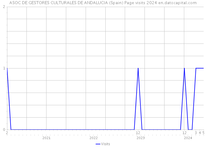 ASOC DE GESTORES CULTURALES DE ANDALUCIA (Spain) Page visits 2024 