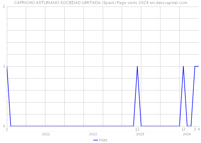 CAPRICHO ASTURIANO SOCIEDAD LIMITADA (Spain) Page visits 2024 