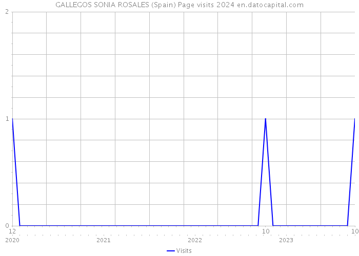 GALLEGOS SONIA ROSALES (Spain) Page visits 2024 