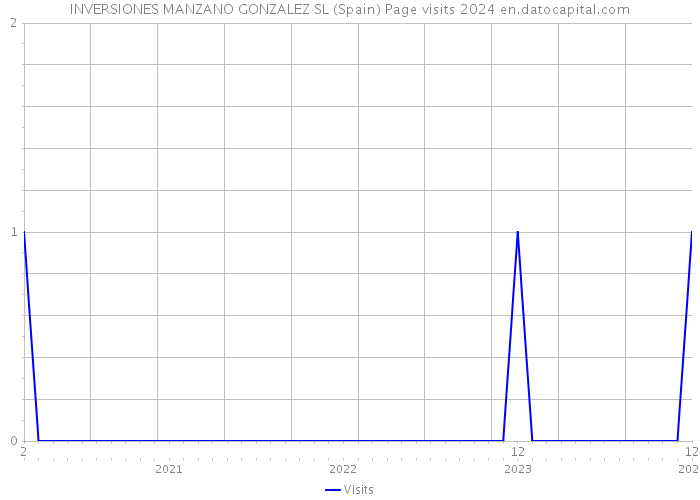 INVERSIONES MANZANO GONZALEZ SL (Spain) Page visits 2024 