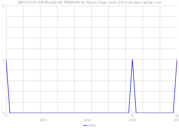 SERVICIOS LABORALES DE TENERIFE SL (Spain) Page visits 2024 