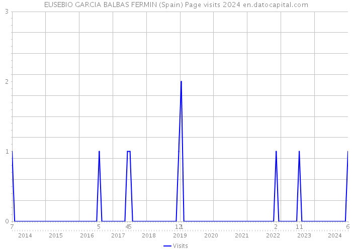 EUSEBIO GARCIA BALBAS FERMIN (Spain) Page visits 2024 