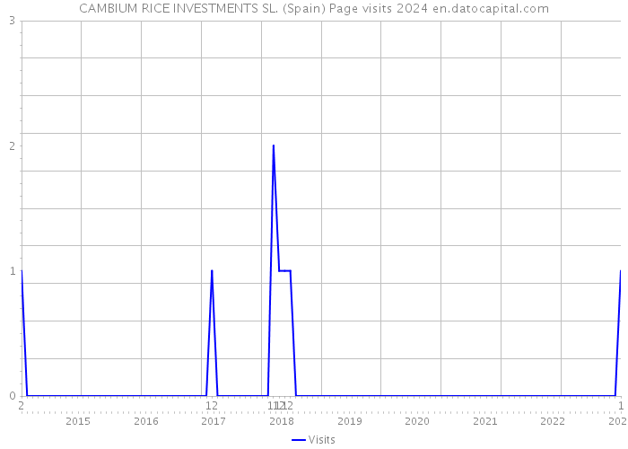 CAMBIUM RICE INVESTMENTS SL. (Spain) Page visits 2024 