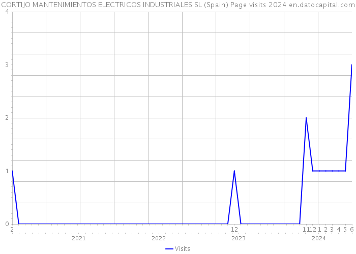 CORTIJO MANTENIMIENTOS ELECTRICOS INDUSTRIALES SL (Spain) Page visits 2024 
