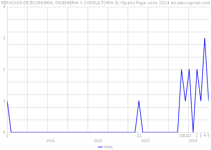 SERVICIOS DE ECONOMIA, INGENIERIA Y CONSULTORIA SL (Spain) Page visits 2024 