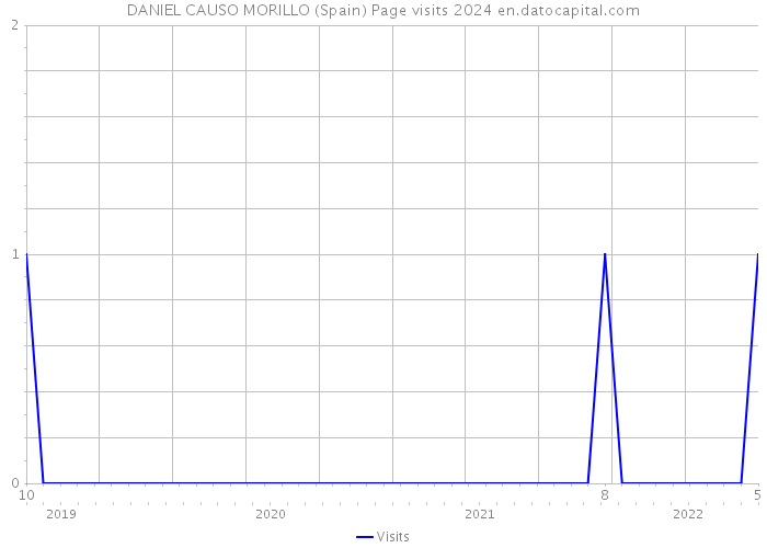DANIEL CAUSO MORILLO (Spain) Page visits 2024 