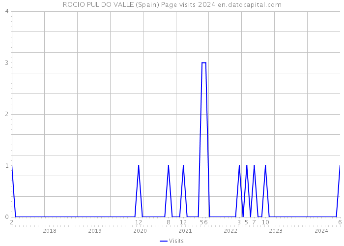 ROCIO PULIDO VALLE (Spain) Page visits 2024 