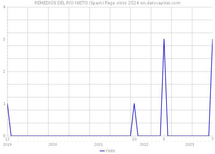 REMEDIOS DEL RIO NIETO (Spain) Page visits 2024 