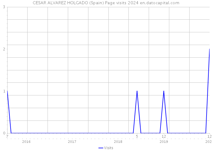 CESAR ALVAREZ HOLGADO (Spain) Page visits 2024 