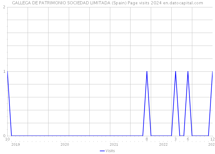GALLEGA DE PATRIMONIO SOCIEDAD LIMITADA (Spain) Page visits 2024 