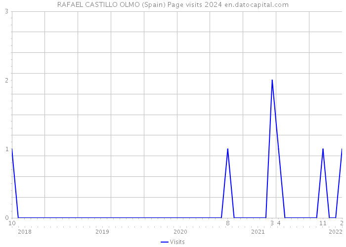 RAFAEL CASTILLO OLMO (Spain) Page visits 2024 