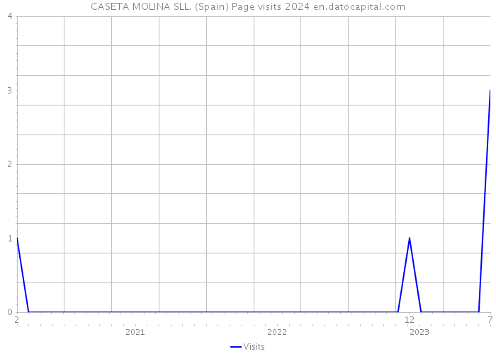 CASETA MOLINA SLL. (Spain) Page visits 2024 