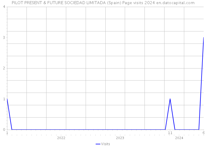 PILOT PRESENT & FUTURE SOCIEDAD LIMITADA (Spain) Page visits 2024 
