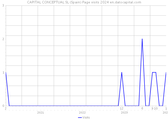 CAPITAL CONCEPTUAL SL (Spain) Page visits 2024 