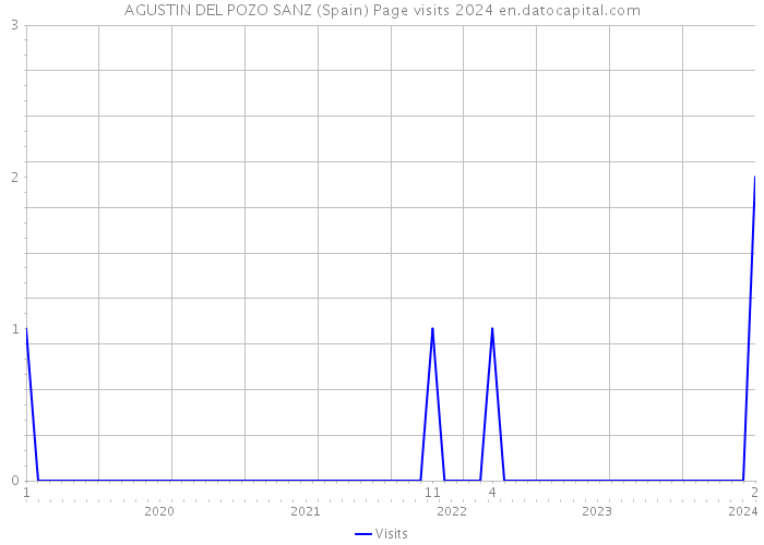 AGUSTIN DEL POZO SANZ (Spain) Page visits 2024 