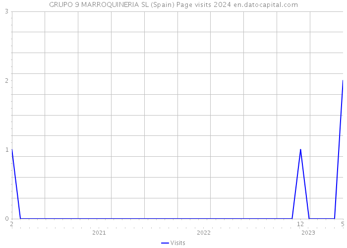 GRUPO 9 MARROQUINERIA SL (Spain) Page visits 2024 