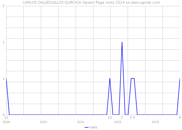 CARLOS GALLEGUILLOS QUIROGA (Spain) Page visits 2024 