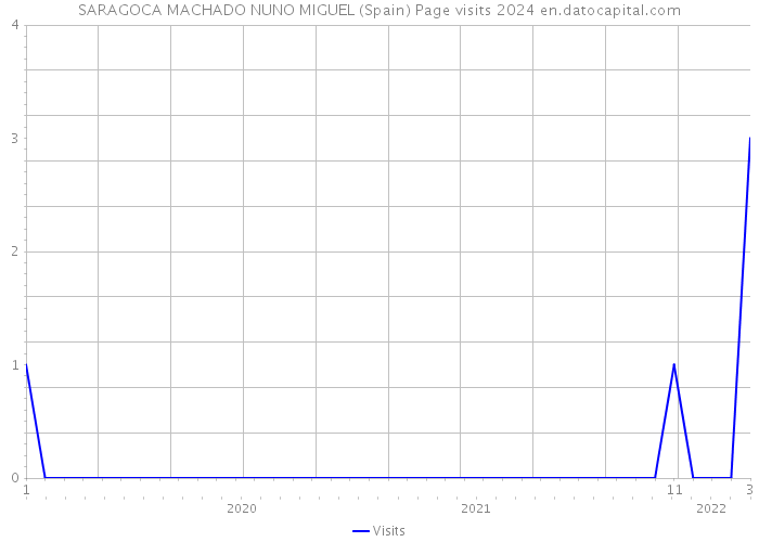 SARAGOCA MACHADO NUNO MIGUEL (Spain) Page visits 2024 