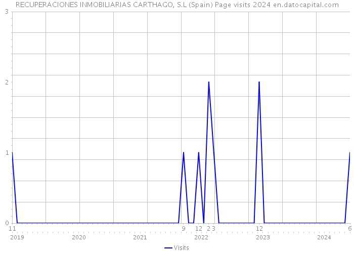 RECUPERACIONES INMOBILIARIAS CARTHAGO, S.L (Spain) Page visits 2024 