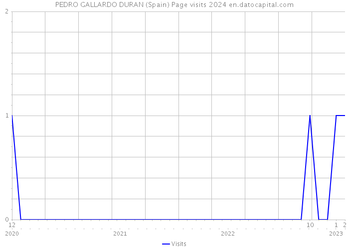 PEDRO GALLARDO DURAN (Spain) Page visits 2024 