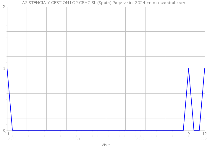 ASISTENCIA Y GESTION LOPICRAC SL (Spain) Page visits 2024 